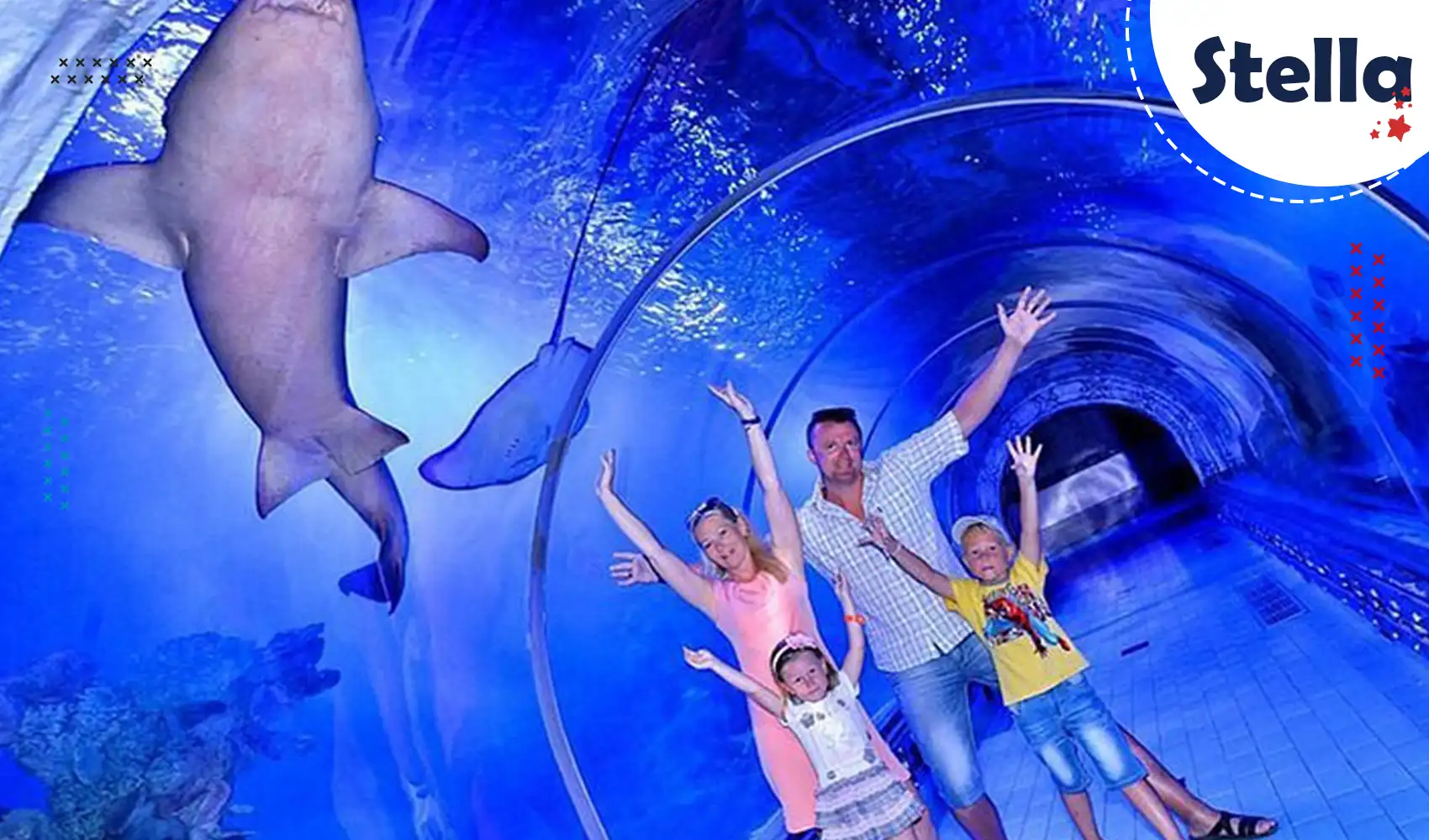 Odwiedź Grand Aquarium w Hurghadzie – rafa koralowa, rekiny i egzotyczne stworzenia morskie dla całej rodziny.